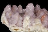 Cactus Quartz (Amethyst) Crystal Cluster - South Africa #94327-2